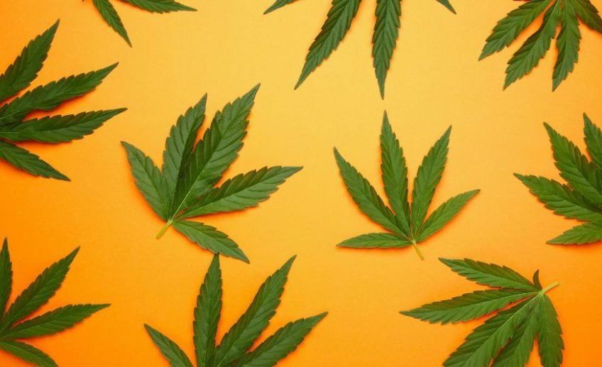 Czy marihuana medyczna może wywołać powikłania na skórze?