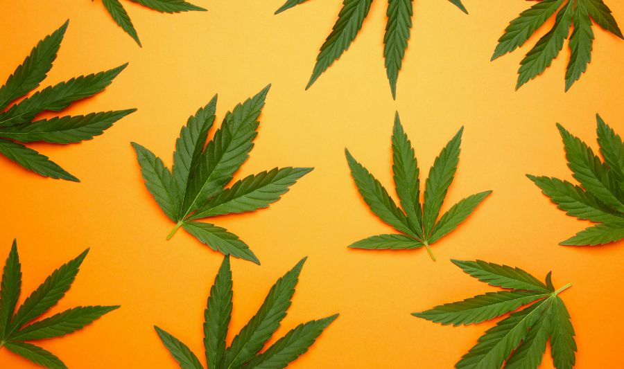 Czy marihuana medyczna może wywołać powikłania na skórze?